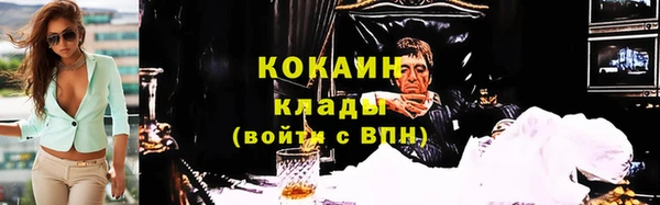 сатива Пересвет