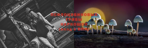 молекула духа Покачи