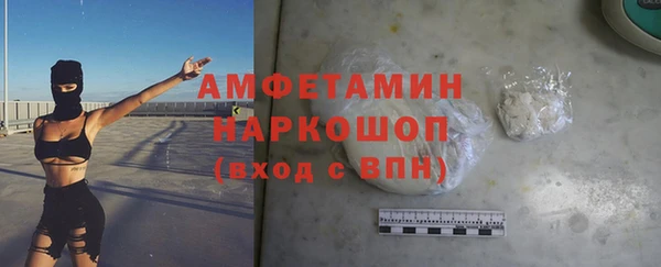 гидра Володарск