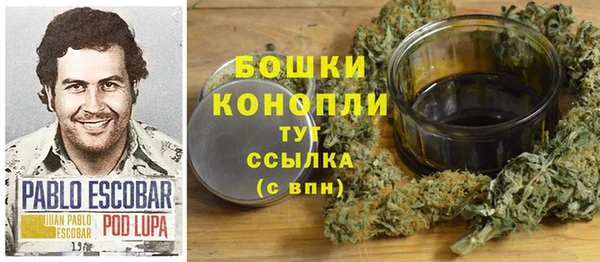 сатива Пересвет