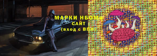 молекула духа Покачи