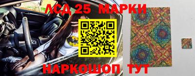 прущие грибы Камышлов