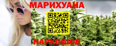 прущие грибы Камышлов