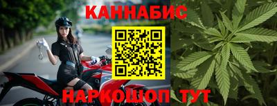 стафф Кандалакша
