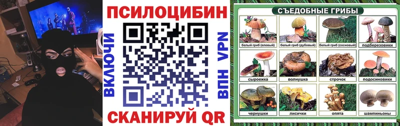 купить Петрозаводск Псилоцибиновые грибы прущие грибы