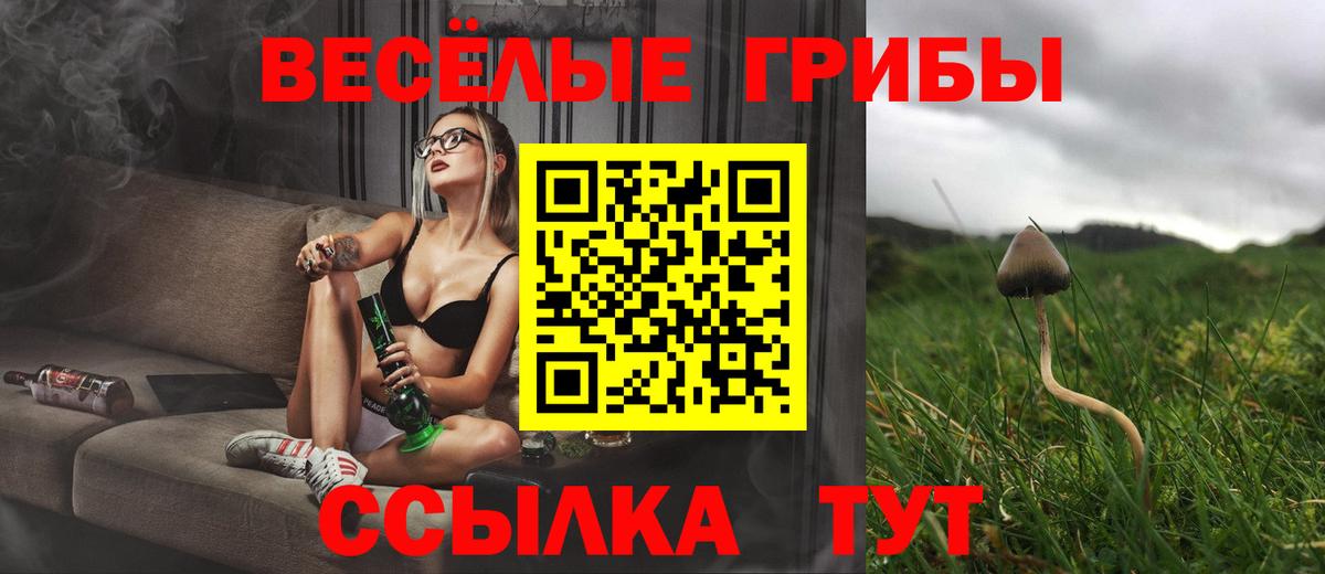 Псилоцибиновые грибы Psilocybine cubensis  Вход с VPN  Петрозаводск 
