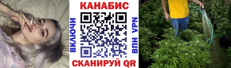 Марихуана сатива  даркнет сайт  Петрозаводск 